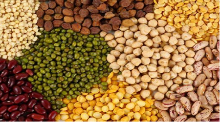 Pulses