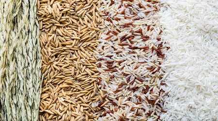 Rice